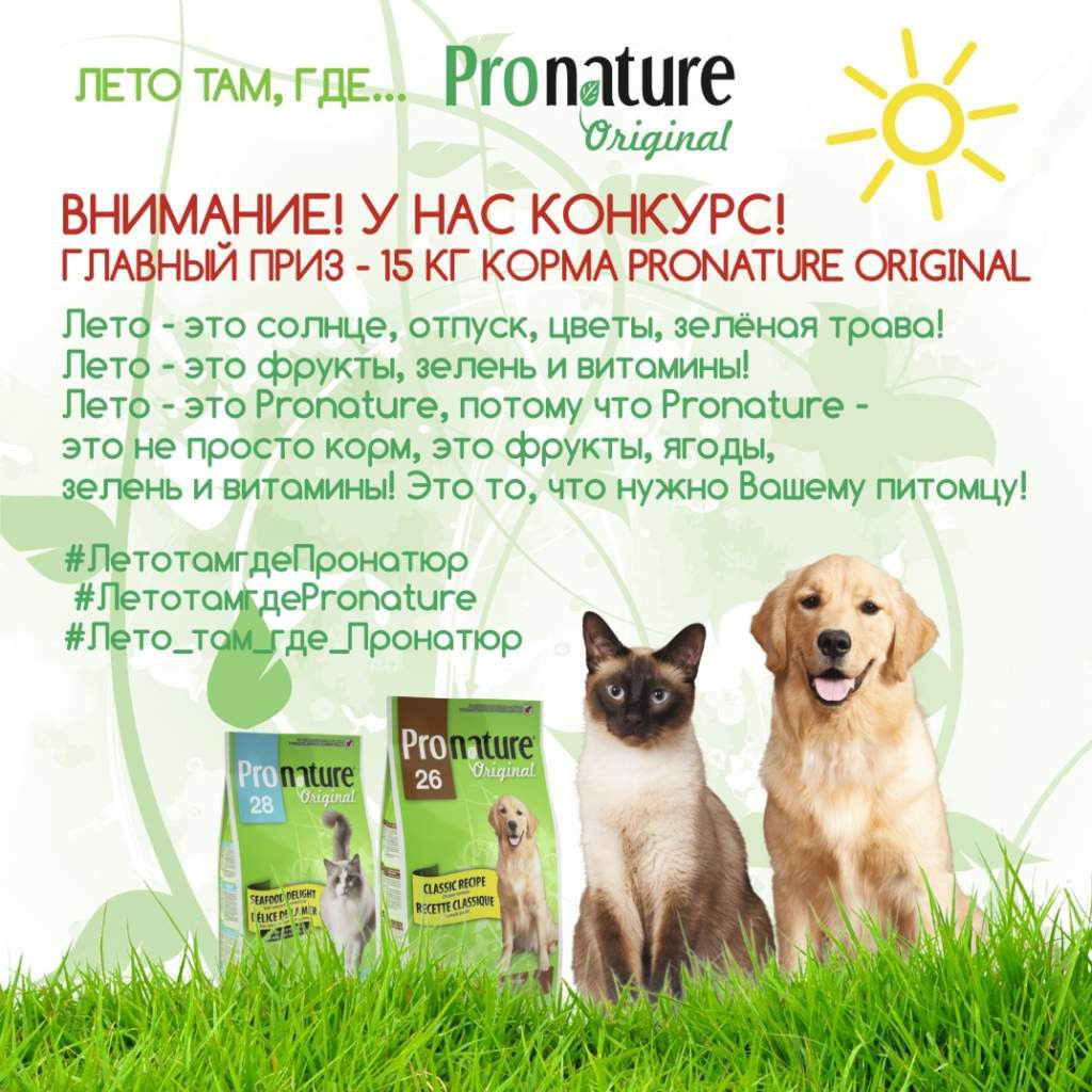 Внимание! У нас КОНКУРС! | Pets Alliance